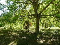 Land Art, construction &eacute;ph&eacute;m&egrave;re