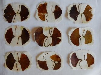 Mireille Perlindé Rian